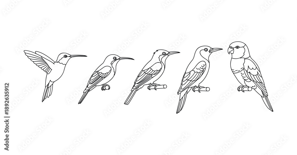 Fototapeta premium Line art of five birds perched in profile view