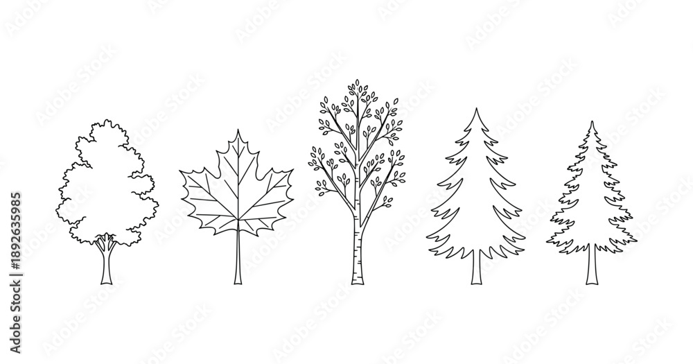Fototapeta premium Outline illustrations of diverse tree species: oak, maple, birch, pine, spruce