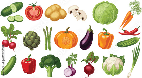 Fresh vegetable collection set with cucumber, tomato, pumpkin, broccoli, pepper, cabbage, and organic healthy food illustration.