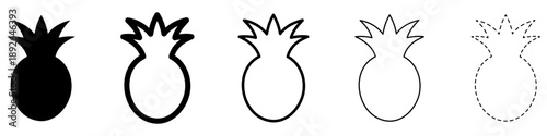 Simplified pineapple icon. Symbol of tropical fruit: black silhouette, outline lines, and dashed line. Five style variations. Vector illustration.