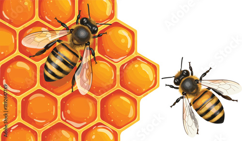Honeycomb with flying bees illustration showing natural honey production, beekeeping, pollination, and sweet food concept.