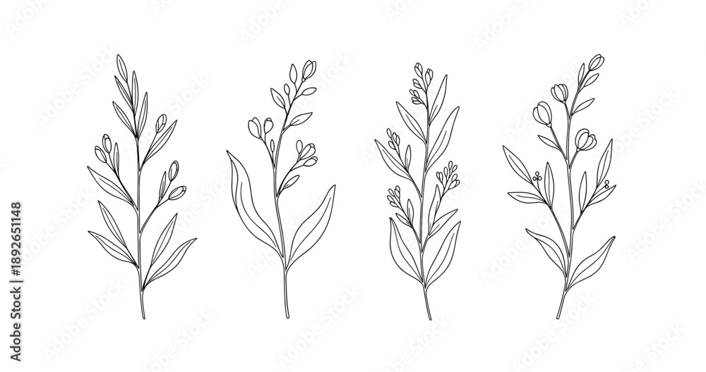 Fototapeta premium (Adobe Illustrator Artwork)