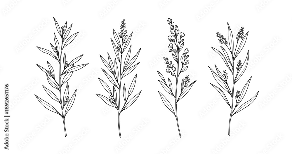 Obraz premium (Adobe Illustrator Artwork)