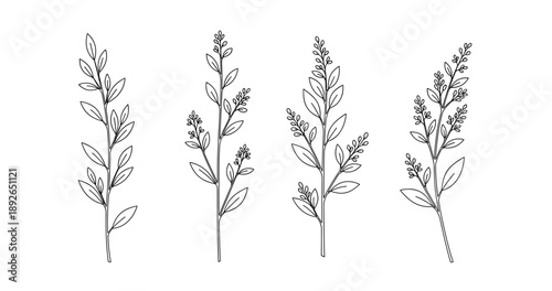 (Adobe Illustrator Artwork)