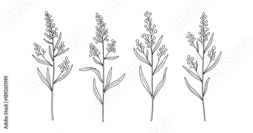 (Adobe Illustrator Artwork)