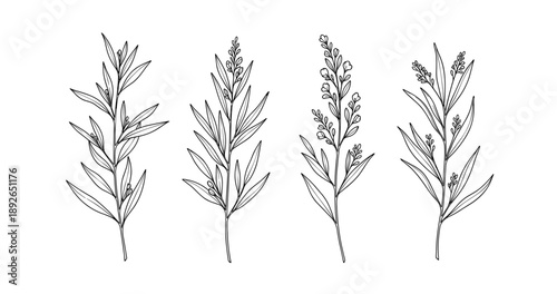 (Adobe Illustrator Artwork)