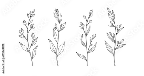 (Adobe Illustrator Artwork)