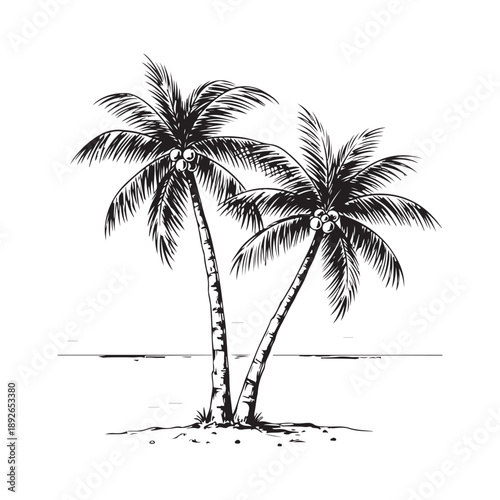 palm trees on the beach engraving outline vector art illustration design, palm tree silhouette, hand drawn beach drawing, line art palm tree, sea, beach, summer view, vintage palm tree on sea beach.