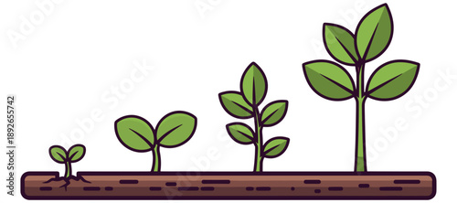Seedlings growing in soil stages from sprout to mature plant illustration viewed from the side