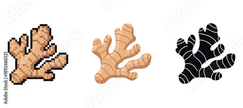 Digital and abstract representations of ginger root in pixel, vector, and silhouette styles