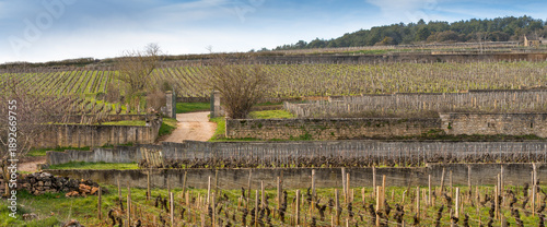 Historic walled vineyard in Burgundy, Beaune wine region