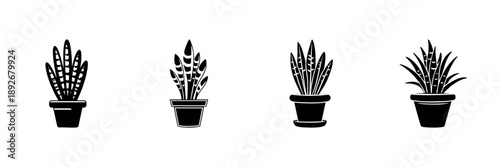 Potted Snake Plants In Hand Drawn Style Set. Indoor Plant Decor, Air Purification, Home Gardening Doodle Sketch Collection. Botanical Illustration. Isolated Vector Illustration