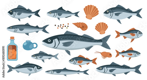Large Collection of Different Fish Species Shells and Cooking Ingredients Illustration.