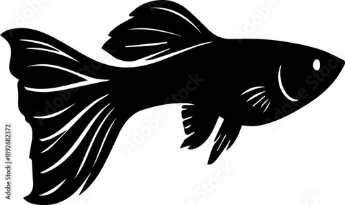 guppy fish black silhouette fish marine life