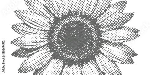 Grayscale halftone sunflower vector illustration with distressed vintage grunge texture, perfect for rustic and retro design projects