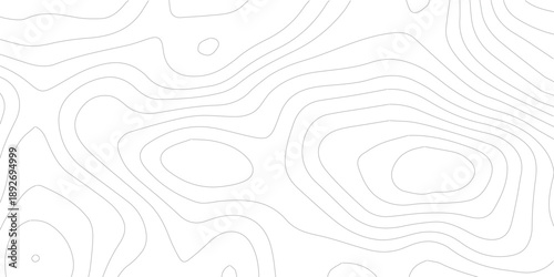 Refined topography inspired illustration showcasing gentle grey contours over a bright white base