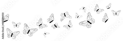 Collection of clear glass light bulbs scattered on a white surface against a plain background