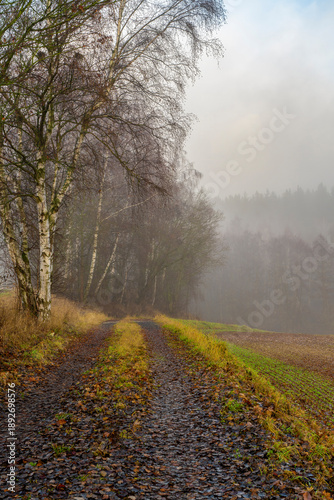 Wallpaper Mural Landschaft im Nebel Torontodigital.ca