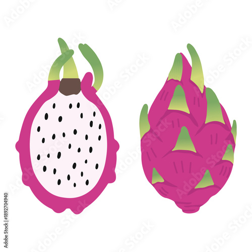 Cut half and whole dragon fruit, Summer tropical fruit, flat icon. Vector illustration sketch isolated on white background.