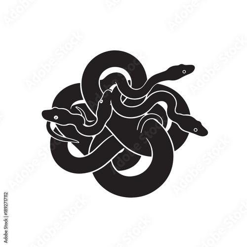 Black Amazon tree boa Silhouette Vector Illustration design, Solid White Background