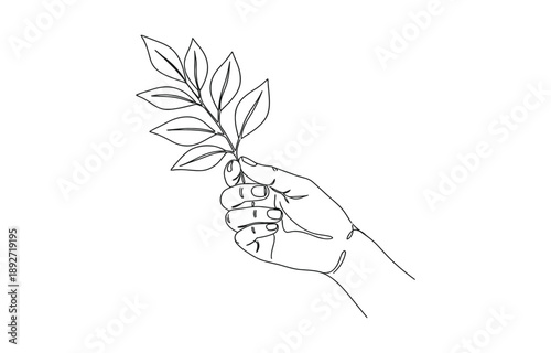 Hands holding leaves branch continuous line drawing.