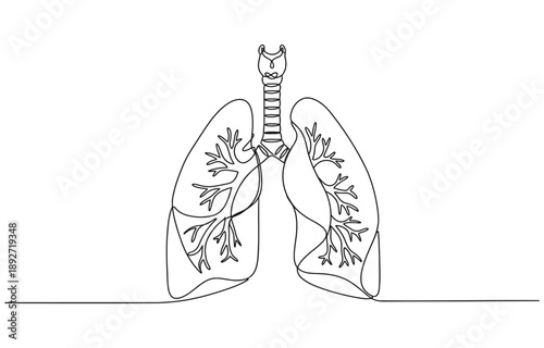 Continuous One Line Drawing of Human Lungs.