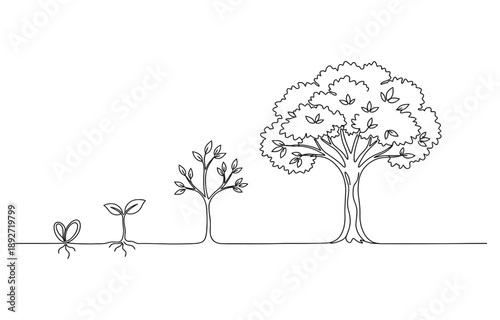 Continuous one line drawing showing tree growth.