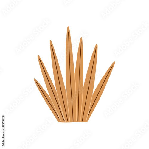 Obraz na płótnie Stylized Graphic Illustration of a Desert Plant or Tall Grass Blades
