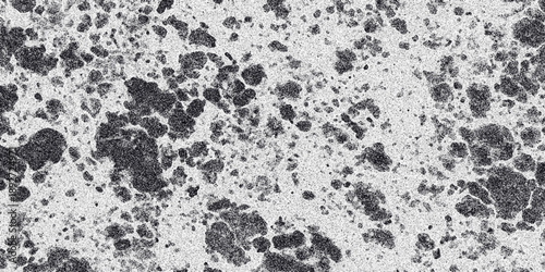 Close-up monochrome abstract texture with a speckled surface and irregular dark clusters, resembling a natural material or cellular structure for abstract backgrounds