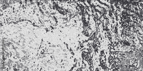 Detailed monochrome abstract texture with organic, cellular-like patterns and a speckled, granular surface creating a complex and visually rich backdrop