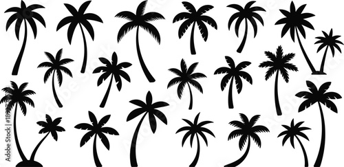 Black tropical palm tree silhouette collection with diverse shapes and styles for summer design, beach themes, and exotic nature illustrations.