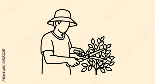 Person carefully pruning a bush with gardening tools Vector