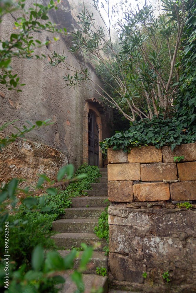 Naklejka premium Stone staircase leading to a rustic wooden door surrounded by lush greenery and textured walls in Enna, Sicily, Italy, showcasing historical architecture and natural elements