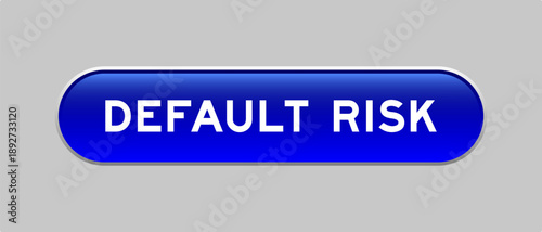 Blue color capsule shape button with word default risk on gray background