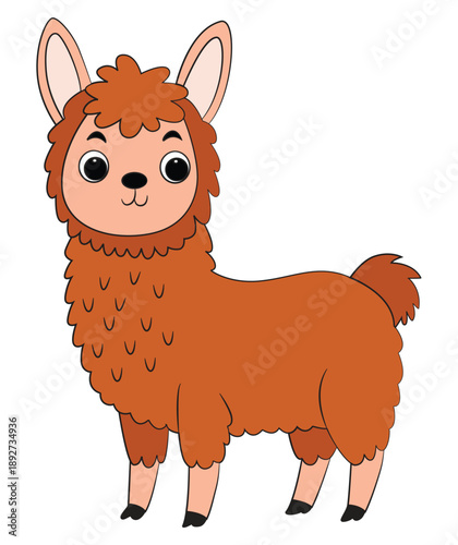 Cartoon little a llama animal on white background