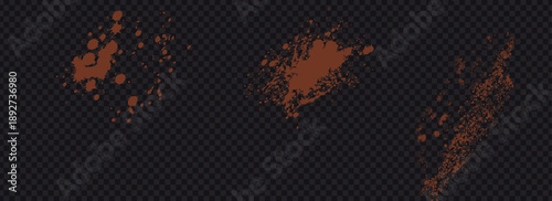 Cocoa dust particles. Flying dry powder texture on transparent background.  Cinnamon powder texture.Eps10