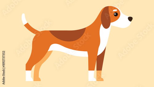 Minimalist flat vector illustration of a brown and white beagle dog standing profile