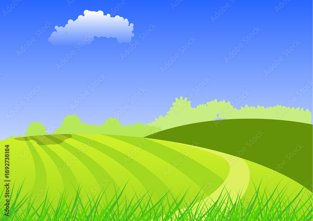 Fototapeta premium green field and blue sky