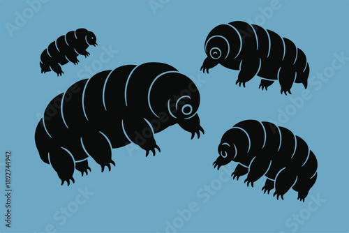 flat illustration of a tartrgrada