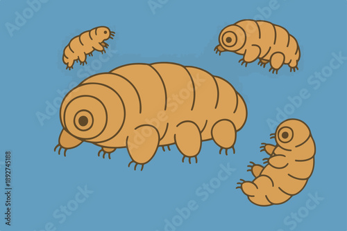 flat illustration of a tartrgrada