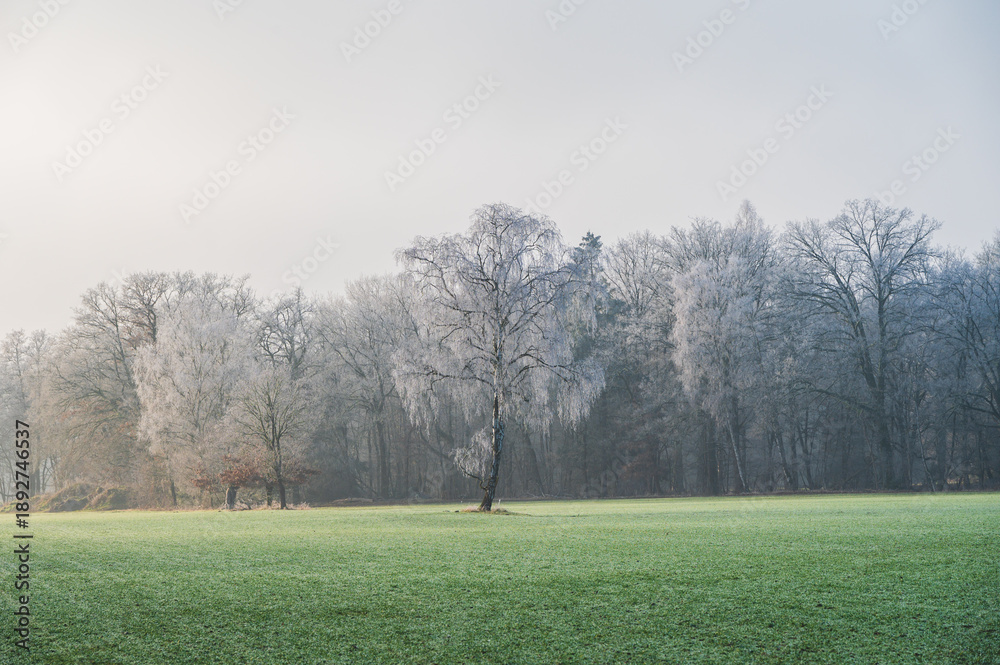 Obraz premium Celle, 29.01.2026