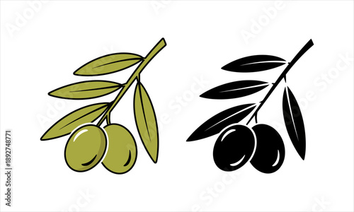 Olive branch with olives in color and black and white illustrations