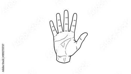 Simple linear hand outline drawing with open palm in black and white