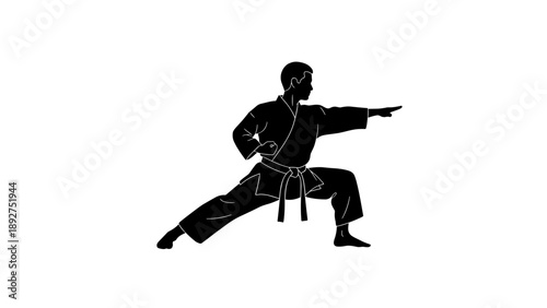 Martial artist practicing karate in black silhouette on white background