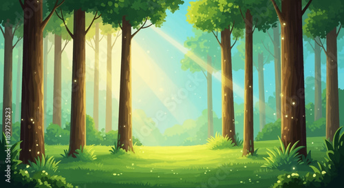 Tall Trees in Forest with Sunlight.