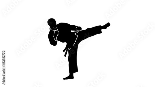 Karate silhouette: black belt performing high kick in martial arts pose