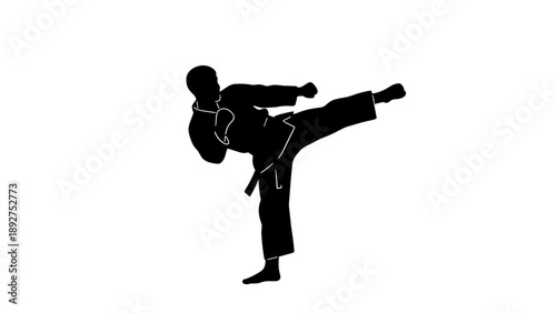 Karate martial artist performing high kick silhouette on white background