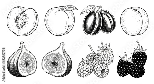 Detailed Illustrations of Various Fresh Fruits.