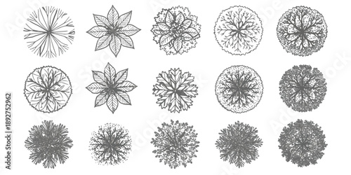 Architectural top view trees and plants symbols set, hand-drawn vector illustration for landscape design and cad plans.