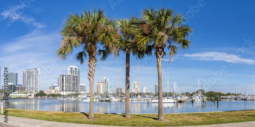 фотографія Saint Petersburg Florida waterfront at Tampa Bay panorama with palms in downtown